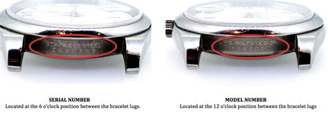 rolex serial number verification tool